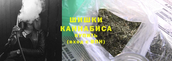 гидропоника Гусиноозёрск