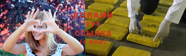 прущие крисы Гусев