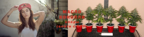 гидропоника Гусиноозёрск