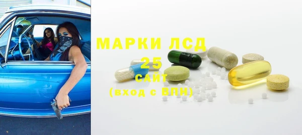 гидропоника Гусиноозёрск