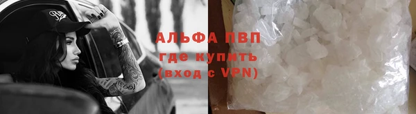 прущие крисы Гусев