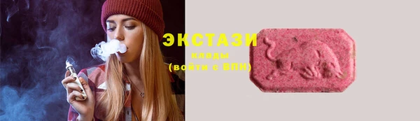 прущие крисы Гусев